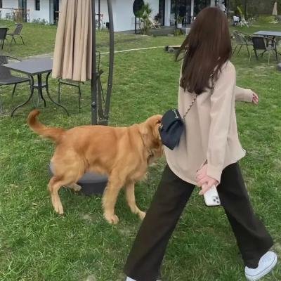 锈与骨